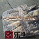 Ommastrephes Bartrami frozen squid price for sale