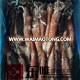 Todarodes pacificus frozen squid price for sale in 200-300g