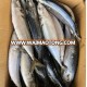 100/150g Frozen pacific mackerel blue mackerel for bait