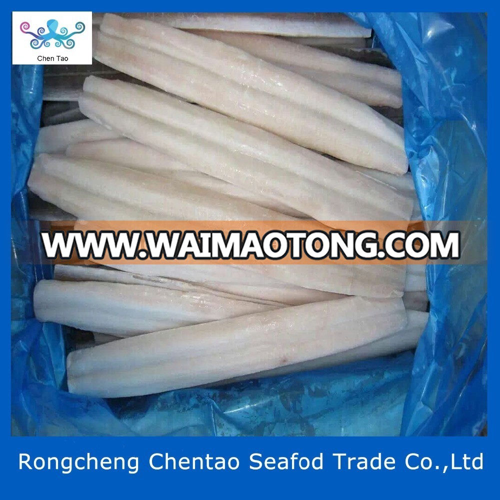 frozen fresh conger eel fish